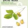 Bio Monatserdbeere "Fraise Des Bois" -Garten Flaire Verkaufsgeschäft arche noah bio monatserdbeere fraise des bois 1 pkg 858596 de