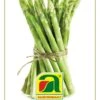 GOURMET EDITION Grünspargel "Mary Washington" -Garten Flaire Verkaufsgeschäft austrosaat gourmet edition gruenspargel mary washington 1 packung 585646 de