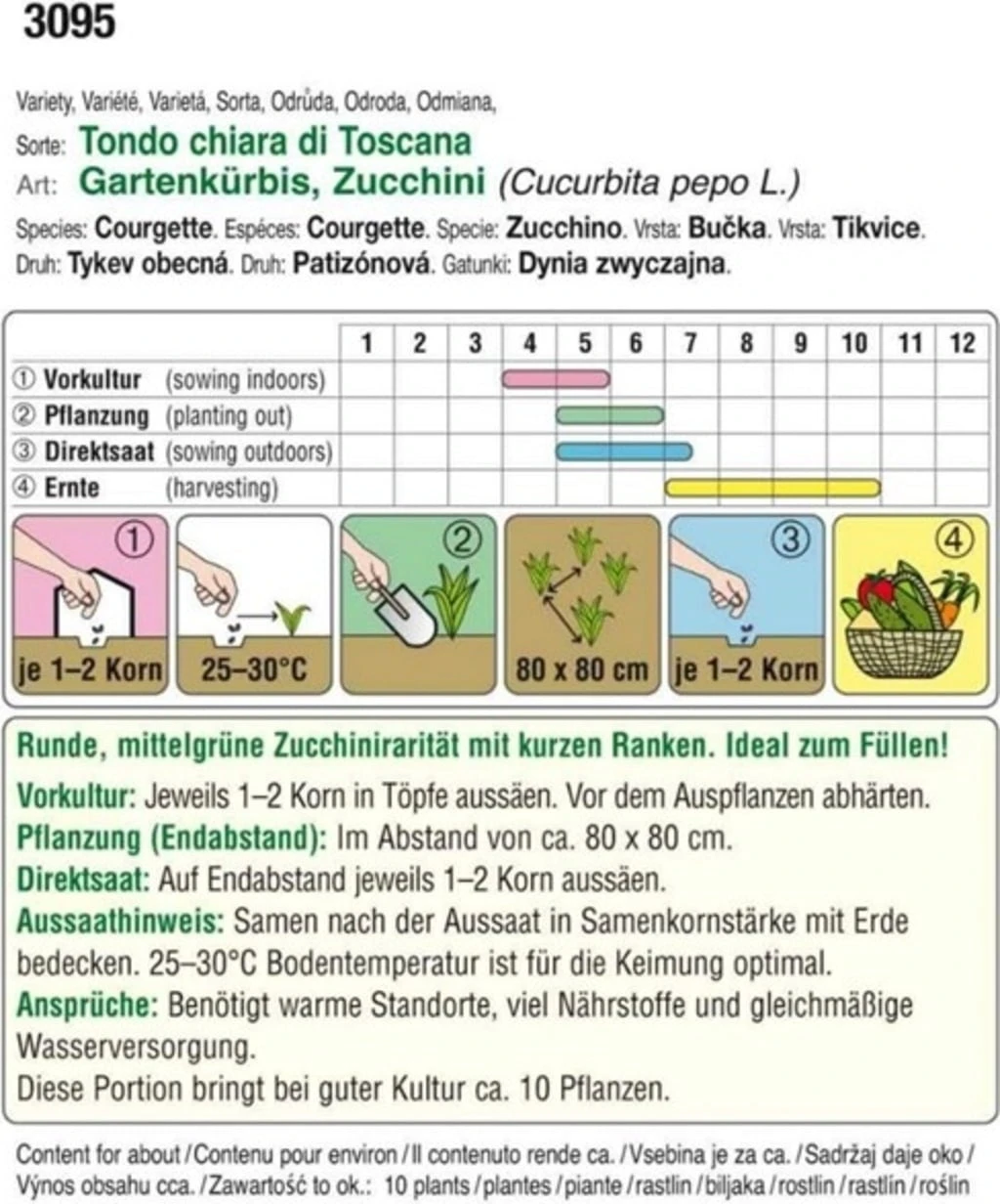 Kürbiszucchini "Tondo" 3 Kürbiszucchini "Tondo"