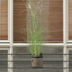 Balkon-Pflanztasche "rund" Mit Befestigung - Geotextile