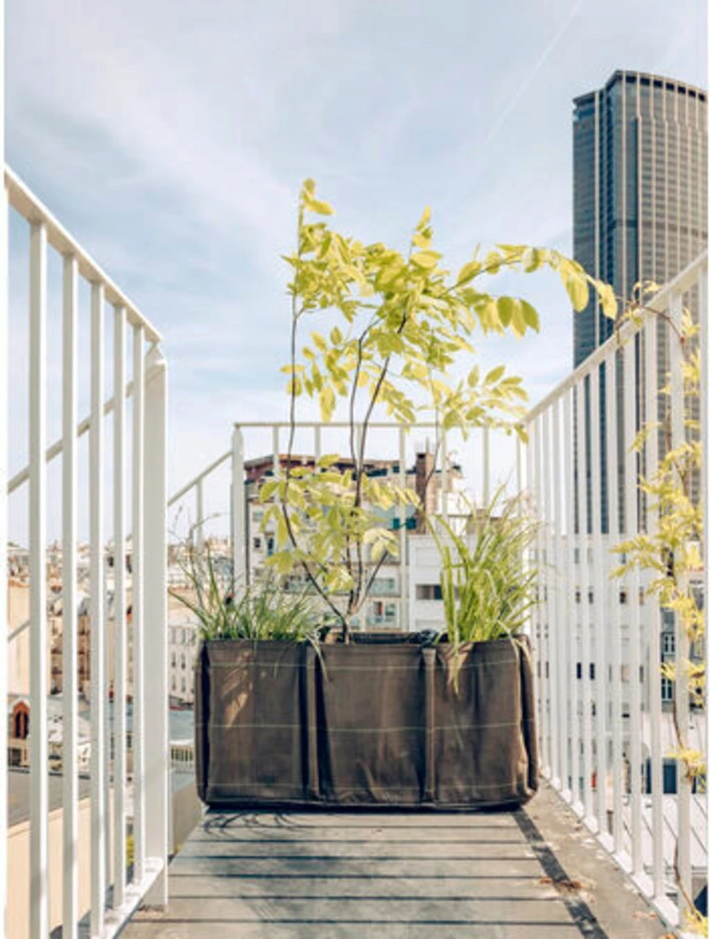 Pflanztasche Baclong "Classic" - Geotextile, 110 L 3 Pflanztasche Baclong "Classic" - Geotextile, 110 L