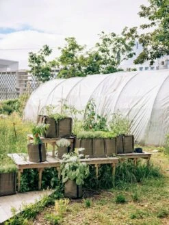 Pflanztasche "Classic" - Geotextil, 10 L -Garten Flaire Verkaufsgeschäft bacsac pflanztasche classic geotextil 1681149 de