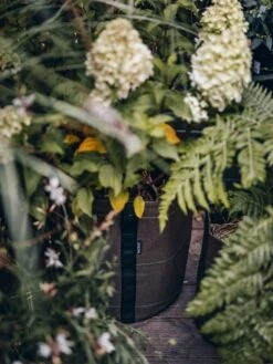 Pflanztasche "Classic" - Geotextil, 10 L -Garten Flaire Verkaufsgeschäft bacsac pflanztasche classic geotextil 1681150 de