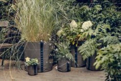 Pflanztasche "Classic" - Geotextil, 10 L -Garten Flaire Verkaufsgeschäft bacsac pflanztasche classic geotextil 1681151 de