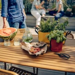 Pflanztasche "Colour" - 10 Liter, Ingwer 17 Pflanztasche "Colour" - 10 Liter, Ingwer -Garten Flaire Verkaufsgeschäft bacsac pflanztasche colour 10 liter 1681161 de