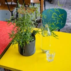 Pflanztasche "Colour" - 10 Liter, Ingwer 14 Pflanztasche "Colour" - 10 Liter, Ingwer -Garten Flaire Verkaufsgeschäft bacsac pflanztasche colour 10 liter 1681162 de