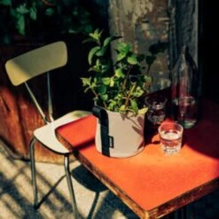 Pflanztasche "Colour" - 10 Liter, Ingwer 15 Pflanztasche "Colour" - 10 Liter, Ingwer -Garten Flaire Verkaufsgeschäft bacsac pflanztasche colour 10 liter 1681164 de