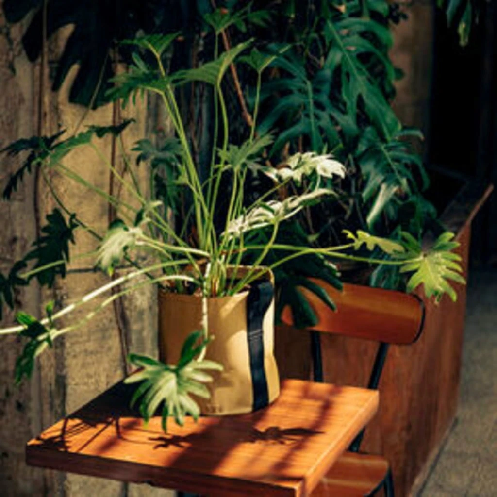 Pflanztasche "Colour" - 10 Liter, Ingwer 4 Pflanztasche "Colour" - 10 Liter, Ingwer - Image 2