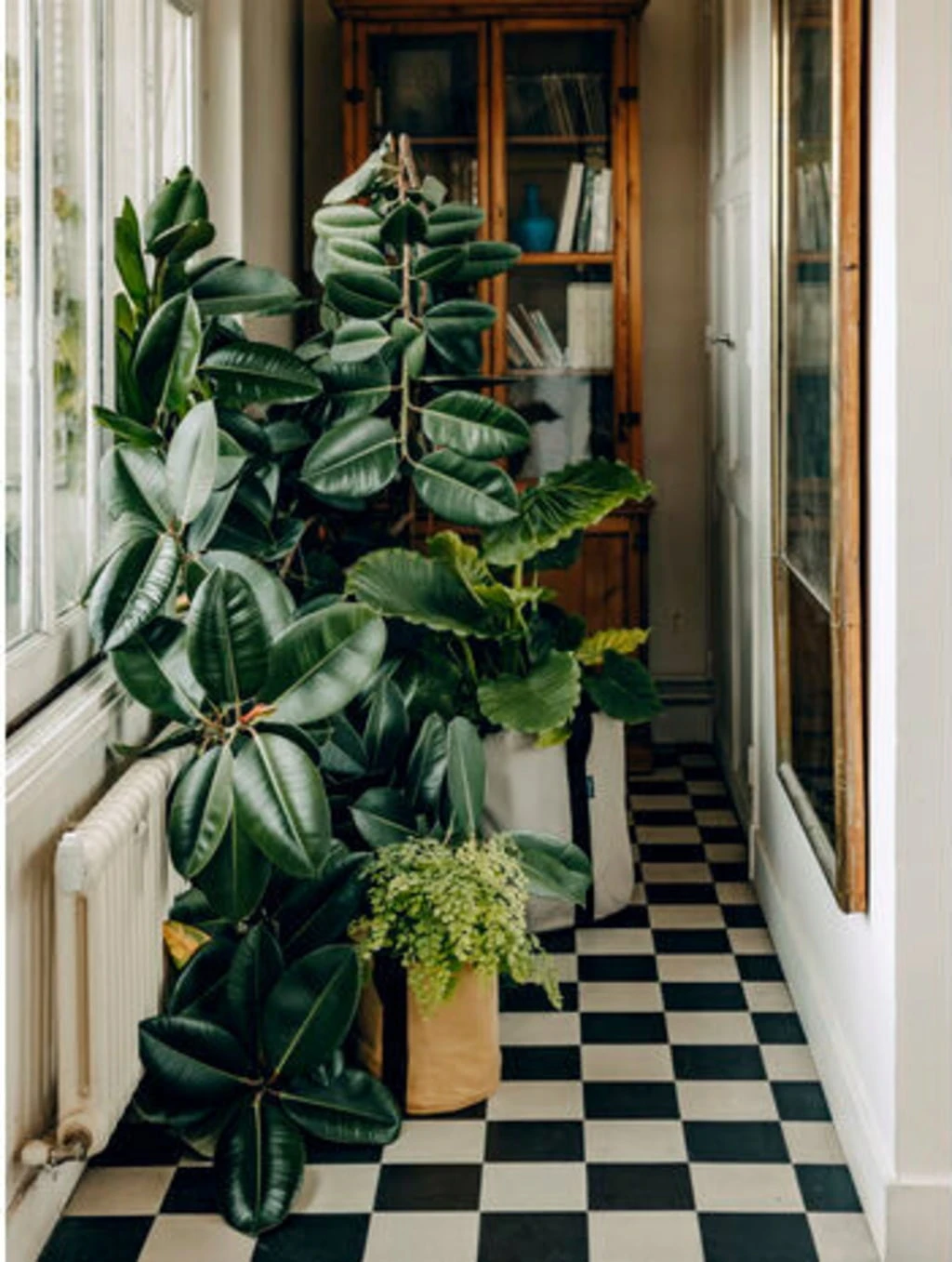 Pflanztasche "Colour" - 10 Liter, Ingwer 6 Pflanztasche "Colour" - 10 Liter, Ingwer - Image 4