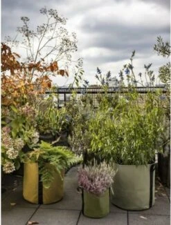 Pflanztasche "Colour" - 25 Liter, Limette -Garten Flaire Verkaufsgeschäft bacsac pflanztasche colour 25 liter 1681188 de