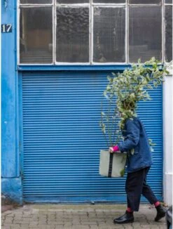 Pflanztasche "Colour" - 25 Liter, Limette -Garten Flaire Verkaufsgeschäft bacsac pflanztasche colour 25 liter kalk 1681183 de