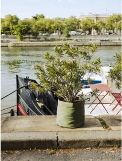 Pflanztasche "Colour" - 50 Liter, Limette 8 Pflanztasche "Colour" - 50 Liter, Limette -Garten Flaire Verkaufsgeschäft bacsac pflanztasche colour 50 liter 1681196 de