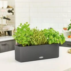 LECHUZA CUBE Color Triple Komplett-Set, Sandbraun -Garten Flaire Verkaufsgeschäft balconissima color 40 komplett set 648962 de