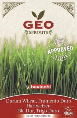Bio Keimsprossen "Hartweizen", 80 G 5 Bio Keimsprossen "Hartweizen", 80 G -Garten Flaire Verkaufsgeschäft bavicchi bio keimsprossen hartweizen 80 g 1666775 de