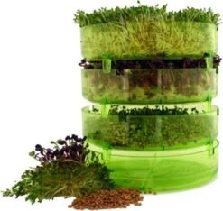 Geo Plus Keimsprossen-Box