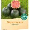 Wassermelone "Sugar Baby" 2 Wassermelone "Sugar Baby" -Garten Flaire Verkaufsgeschäft bingenheimer saatgut wassermelone sugar baby 1612472 de