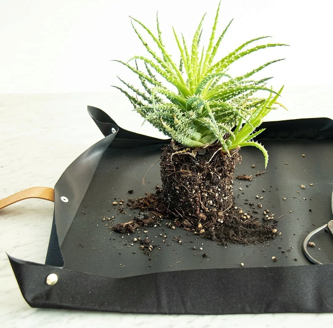 Pflanzmatte Für Urbanes Gärtnern 3 Pflanzmatte Für Urbanes Gärtnern