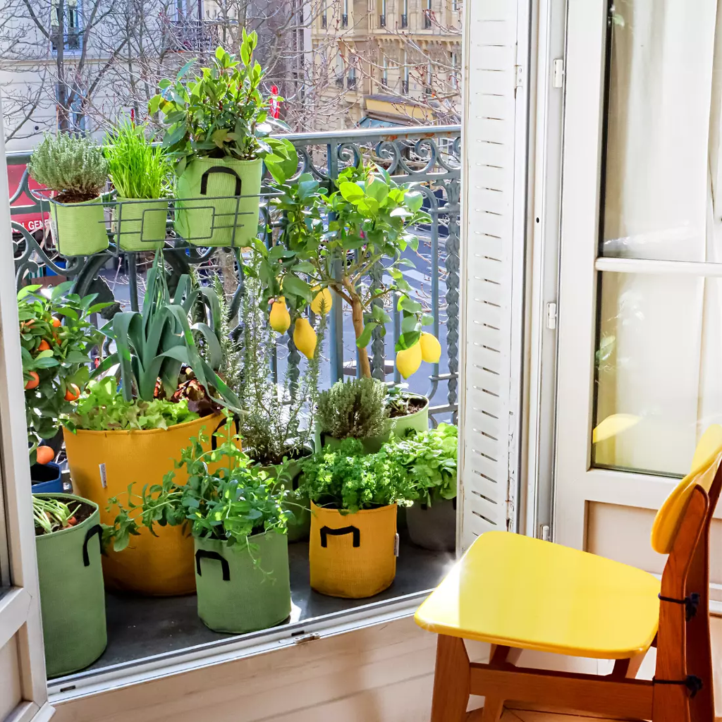 Pflanztasche Aus Geotextil ∅ 20 Cm, Grün 7 Pflanztasche Aus Geotextil ∅ 20 Cm, Grün - Image 5