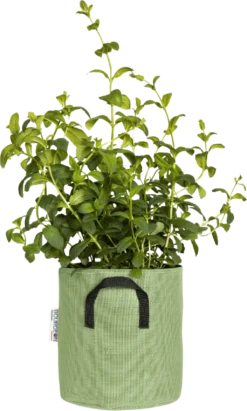 Pflanztasche Aus Geotextil ∅ 20 Cm, Grün 13 Pflanztasche Aus Geotextil ∅ 20 Cm, Grün -Garten Flaire Verkaufsgeschäft bourgeon pflanztasche aus geotextil 20 cm gruen 1696244 de