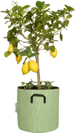 Pflanztasche Aus Geotextil ∅ 30 Cm, Grün -Garten Flaire Verkaufsgeschäft bourgeon pflanztasche aus geotextil 30 cm gruen 1696236 de