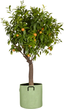 Pflanztasche Aus Geotextil ∅ 40 Cm, Grün 11 Pflanztasche Aus Geotextil ∅ 40 Cm, Grün -Garten Flaire Verkaufsgeschäft bourgeon pflanztasche aus geotextil 40 cm gruen 1696198 de