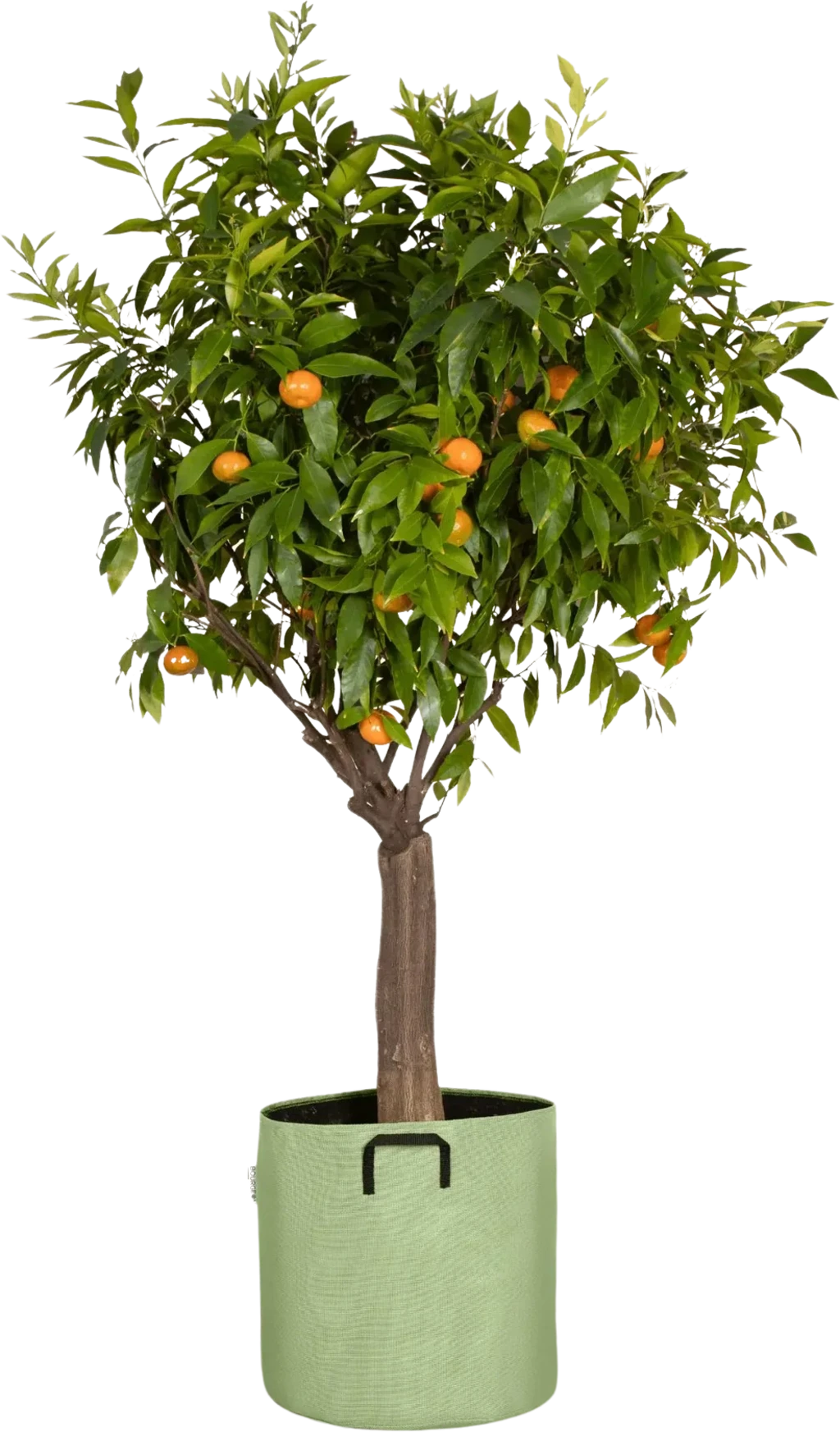 Pflanztasche Aus Geotextil ∅ 40 Cm, Grün 4 Pflanztasche Aus Geotextil ∅ 40 Cm, Grün - Image 2