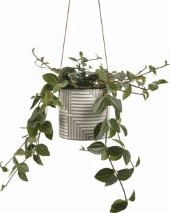 Hängetopf "Modena" 10 Hängetopf "Modena" -Garten Flaire Verkaufsgeschäft burgon ball haengetopf modena 1 stk 861217 de