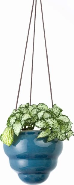 Hängetopf-Trio "Baby Bombini" 19 Hängetopf-Trio "Baby Bombini" -Garten Flaire Verkaufsgeschäft burgon ball haengetopf trio baby bombini 1 set 1672744 de