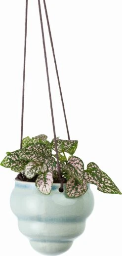 Hängetopf-Trio "Baby Bombini" 17 Hängetopf-Trio "Baby Bombini" -Garten Flaire Verkaufsgeschäft burgon ball haengetopf trio baby bombini 1 set 1672745 de