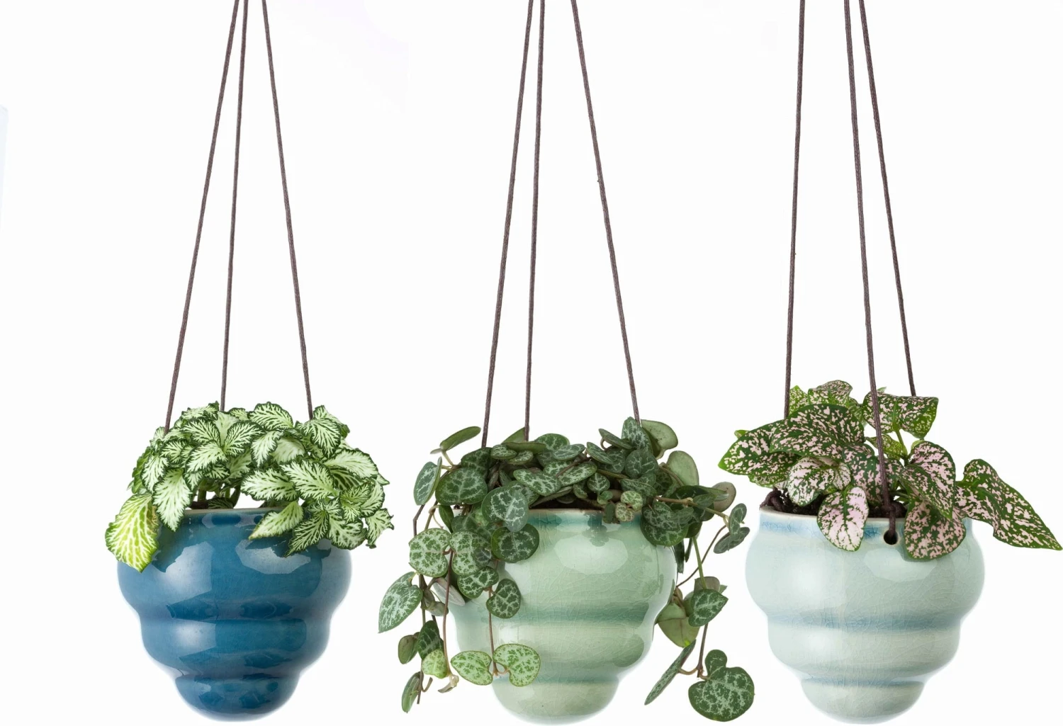 Hängetopf-Trio "Baby Bombini" 11 Hängetopf-Trio "Baby Bombini" - Image 9