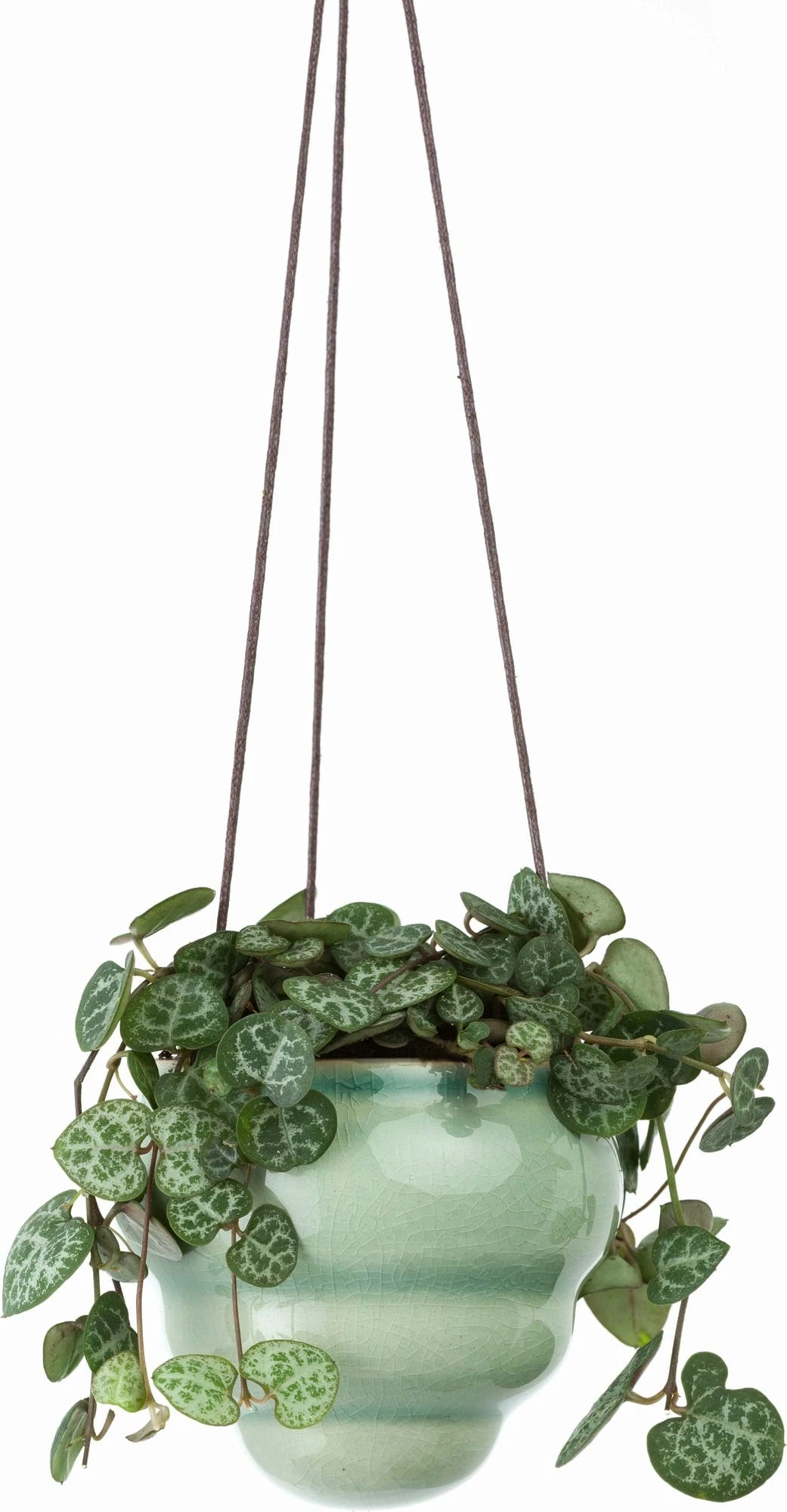 Hängetopf-Trio "Baby Bombini" 12 Hängetopf-Trio "Baby Bombini" - Image 10