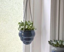 Hängetopf-Trio "Baby Bombini" 18 Hängetopf-Trio "Baby Bombini" -Garten Flaire Verkaufsgeschäft burgon ball haengetopf trio baby bombini 1 set 861543 de