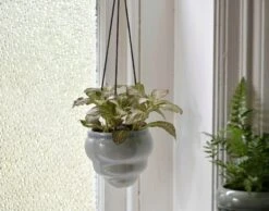 Hängetopf-Trio "Baby Bombini" 24 Hängetopf-Trio "Baby Bombini" -Garten Flaire Verkaufsgeschäft burgon ball haengetopf trio baby bombini 1 set 861557 de