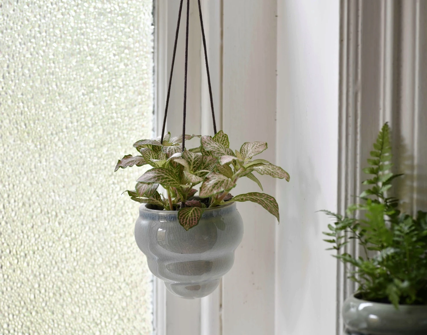 Hängetopf-Trio "Baby Bombini" 13 Hängetopf-Trio "Baby Bombini" - Image 11