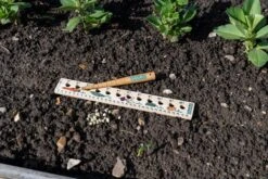 Pflanzlineal & Setzholz Für Kinder -Garten Flaire Verkaufsgeschäft burgon ball pflanzlineal setzholz fuer kinder 1 set 1643920 de