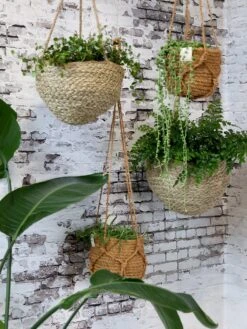 Blumenampel Korb Natur, H14/D18 Cm -Garten Flaire Verkaufsgeschäft chic antique blumenampel korb natur 1607732 de