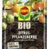 Compo BIO Zitruspflanzenerde Torffrei, 10 L -Garten Flaire Verkaufsgeschäft compo bio zitruspflanzenerde torffrei 10 l 1659970 de