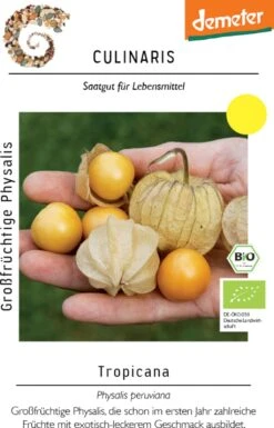 Bio Großfrüchtige Physalis Tropicana -Garten Flaire Verkaufsgeschäft culinaris bio grossfruechtige physalis tropicana 1 paket 1683587 de