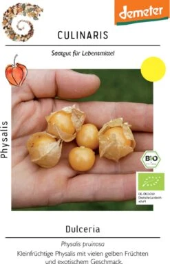 Bio Physalis Dulceria -Garten Flaire Verkaufsgeschäft culinaris bio physalis dulceria 1 paket 1683589 de