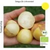 Bio Tomatillo Aurora -Garten Flaire Verkaufsgeschäft culinaris bio tomatillo aurora 1 paket 1683591 de