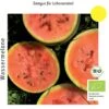 Bio Wassermelone Blacktail Mountain -Garten Flaire Verkaufsgeschäft culinaris bio wassermelone blacktail mountain 1 paket 1683593 de