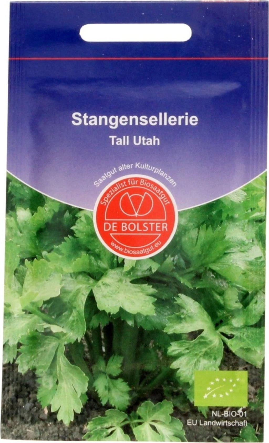 Stangensellerie "Tall Utah", 0,30 G 5 Stangensellerie "Tall Utah", 0,30 G - Image 3