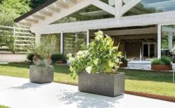 Pflanztopf "Quadro Millenium" Mit Wasserreservoir - Anthrazit, 39 Cm 15 Pflanztopf "Quadro Millenium" Mit Wasserreservoir - Anthrazit, 39 Cm -Garten Flaire Verkaufsgeschäft deroma pflanztopf quadro millenium mit wasserreservoir anthrazit 1 st 1668643 de