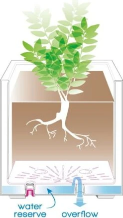 Pflanztopf "Quadro Millenium" Mit Wasserreservoir - Anthrazit, 39 Cm 12 Pflanztopf "Quadro Millenium" Mit Wasserreservoir - Anthrazit, 39 Cm -Garten Flaire Verkaufsgeschäft deroma pflanztopf quadro millenium mit wasserreservoir anthrazit 1 st 1668645 de