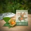 Physalis "Peru" -Garten Flaire Verkaufsgeschäft die stadtgaertner physalis peru 1 paket 1666370 de