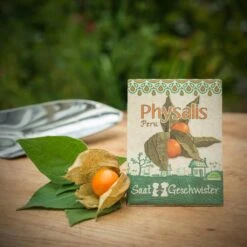 Physalis "Peru"