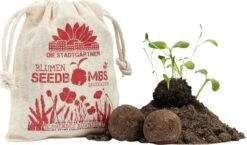 Samenbomben "Blühendes Kornfeld", 8 Stück -Garten Flaire Verkaufsgeschäft die stadtgaertner samenbomben bluehendes kornfeld 8 st 1663306 de