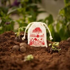 Samenbomben "Blühendes Kornfeld", 8 Stück -Garten Flaire Verkaufsgeschäft die stadtgaertner samenbomben bluehendes kornfeld 8 st 1665790 de