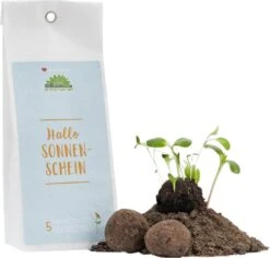 Samenbomben "Hallo Sonnenschein" -Garten Flaire Verkaufsgeschäft die stadtgaertner samenbomben hallo sonnenschein 1 set 1670308 de