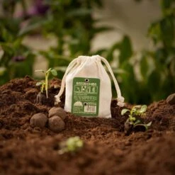 Samenbomben "Wildkräuter", 8 Stück